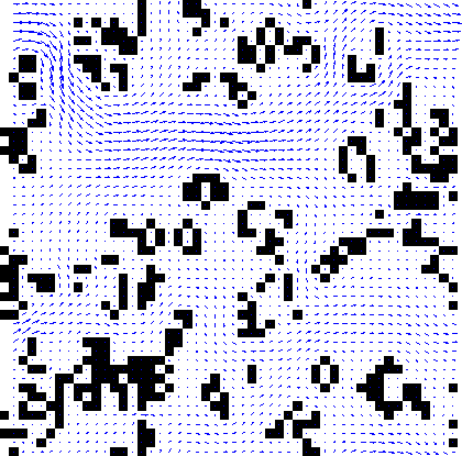 Flow through (not quite) random grid of cells - click for details